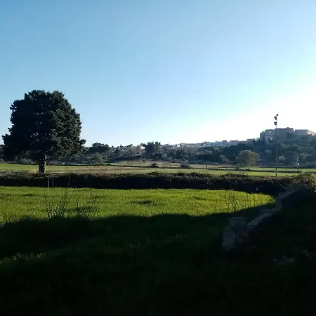 Pampanini *
